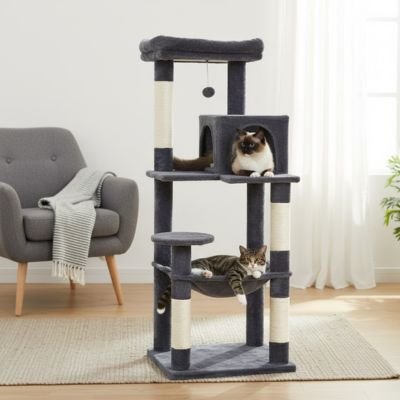 Arbre Ă chat | Multifonctionnel - Miaouland