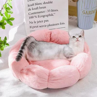 Coussin pour chat | Ultra - Moelleux - Miaouland