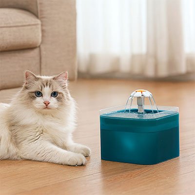 Fontaine Ă eau Chat | Aqua - Fresh - Miaouland