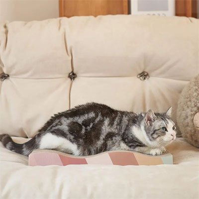 Griffoir en carton pour Chat | Ăco - Protect - Miaouland