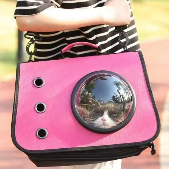 Sac transport chat | Voyageur Sécurisé - Miaouland