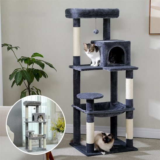 Arbre à chat | Comfort Ludique - Miaouland