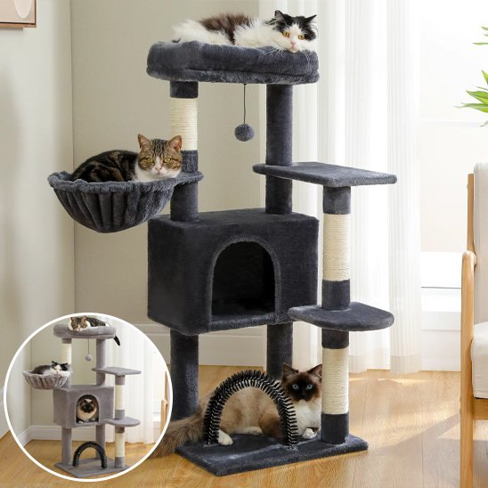 Arbre à chat | Comfort Ludique - Miaouland