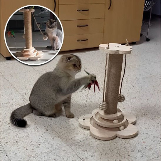 Arbre à chat en bois | Design Scandinave - Miaouland