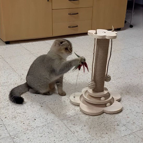 Arbre a chat en bois