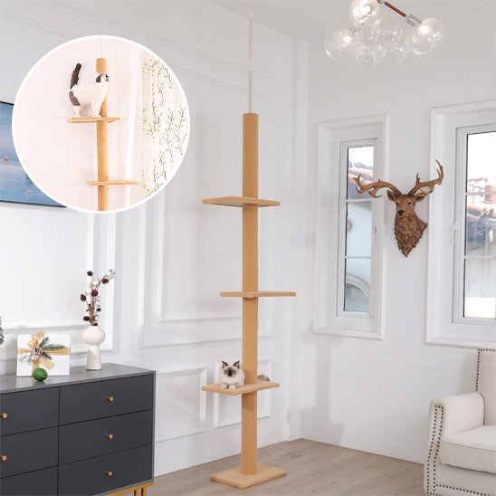 Arbre à chat | Multifonctionnel - Miaouland