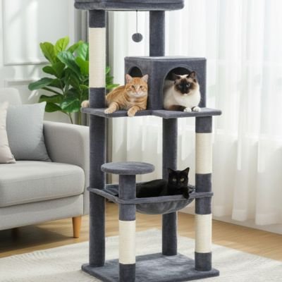 Arbre à chat | Multifonctionnel - Miaouland