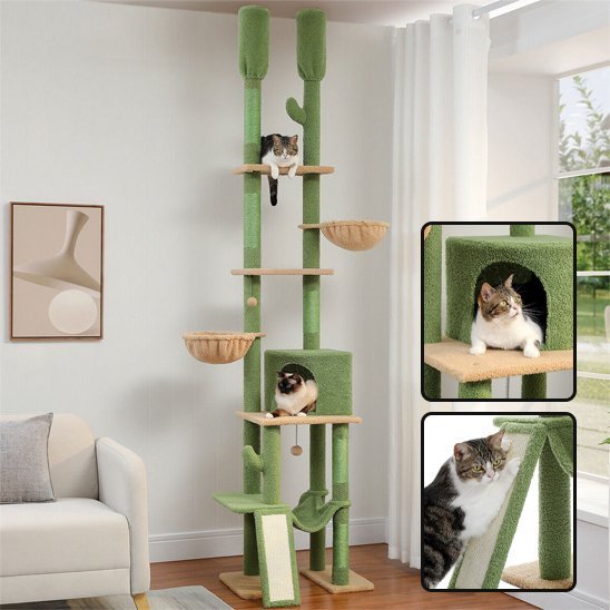 Arbre à chat | Multifonctionnel - Miaouland