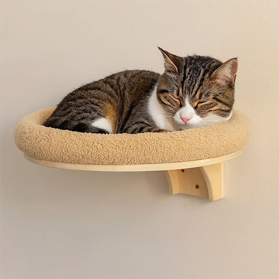 Arbre à Chat mural | VerticalComfort - Miaouland