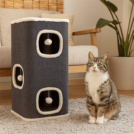 Arbre à Chat | Royal Comfort - Miaouland