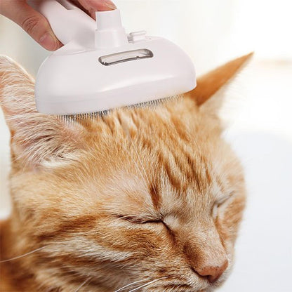 Brosse chat | Auto - nettoyante - Miaouland