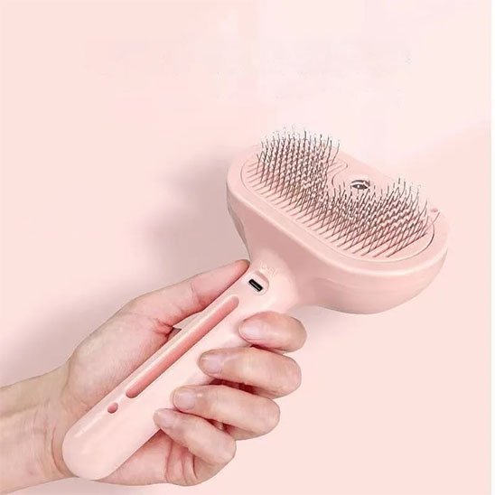 Brosse chat​