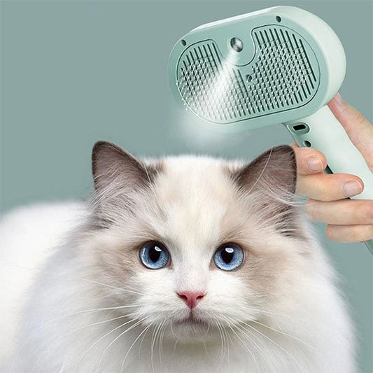 Brosse chat​