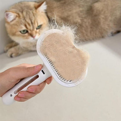 Brosse chat​