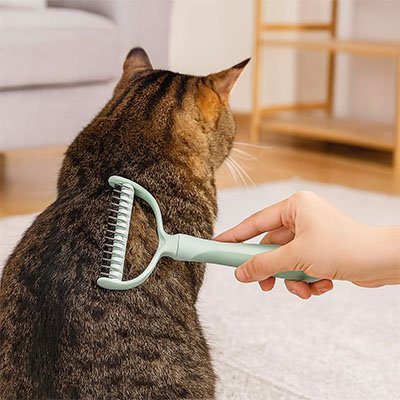 Brosse pour Chat | Auto - Nettoyante - Miaouland