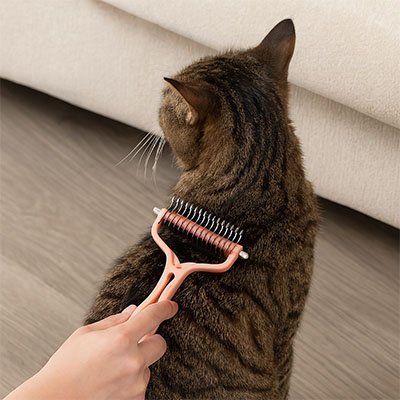 Brosse pour Chat | Auto - Nettoyante - Miaouland