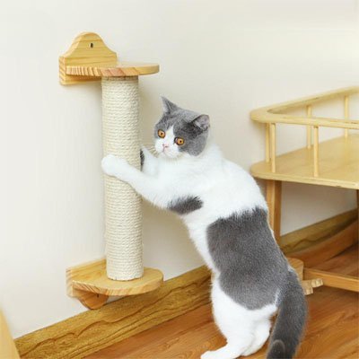 Corde arbre à chat | Félin Grimpe - Miaouland