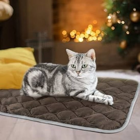 coussin chat | Ultra - Moelleux - Miaouland