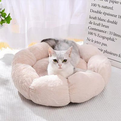 Coussin pour chat | Ultra - Moelleux - Miaouland