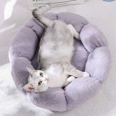 Coussin pour chat | Ultra - Moelleux - Miaouland