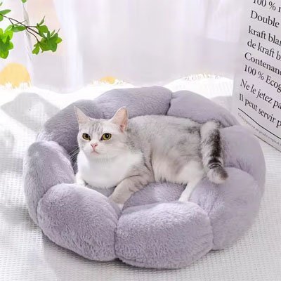 Coussin pour chat | Ultra - Moelleux - Miaouland
