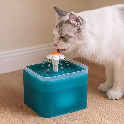 Fontaine à eau Chat | Aqua - Fresh - Miaouland