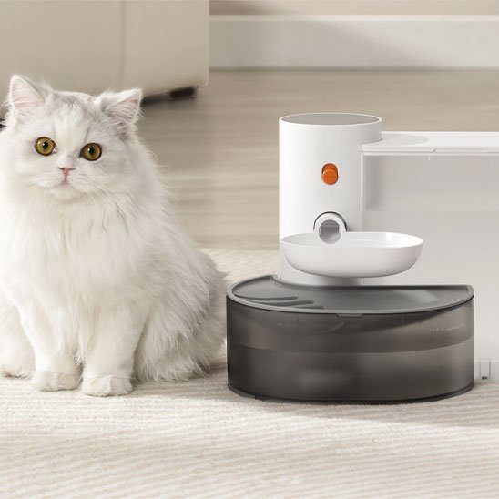 Fontaine a eau chat | SilenceFlow - Miaouland