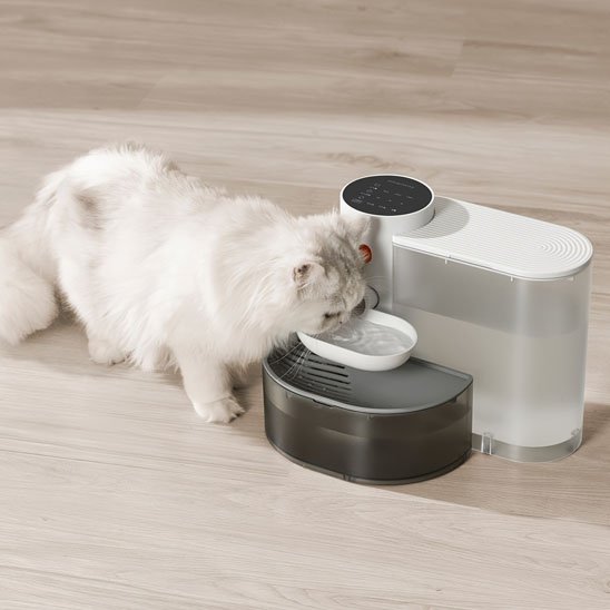 Fontaine a eau chat | SilenceFlow - Miaouland