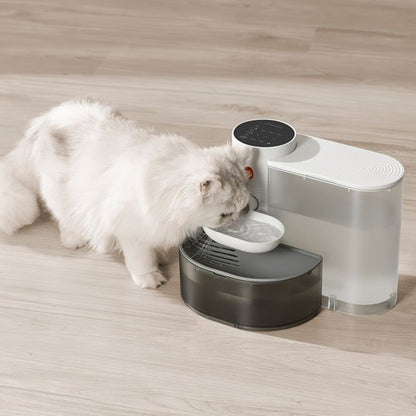 Fontaine a eau chat | SilenceFlow - Miaouland