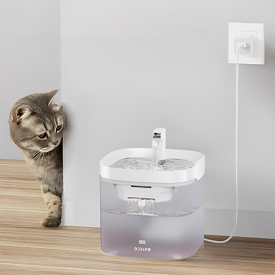 Fontaine a eau chat | Silencieuse - Miaouland