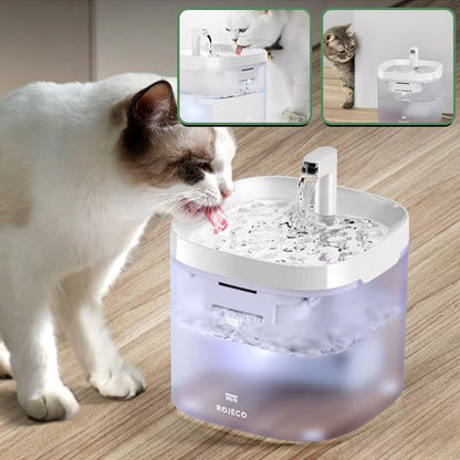 Fontaine a eau chat | Silencieuse - Miaouland