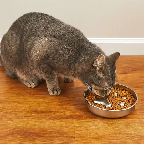 Gamelle anti glouton chat