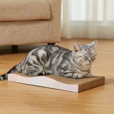 Griffoir en carton pour Chat | Éco - Protect - Miaouland