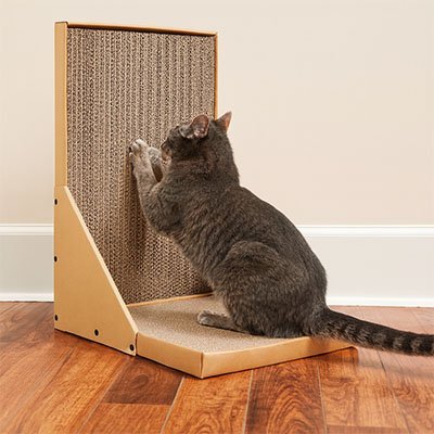 Griffoir en carton pour Chat | Écogriffe - Miaouland