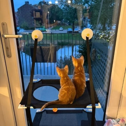 Hamac chat fenetre | Cosy&Home - Miaouland