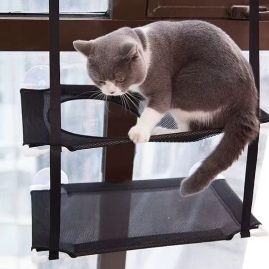 Hamac chat fenetre | Cosy&Home - Miaouland