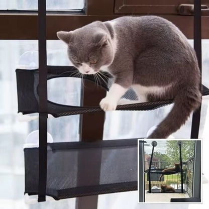 Hamac chat fenetre | Cosy&Home - Miaouland