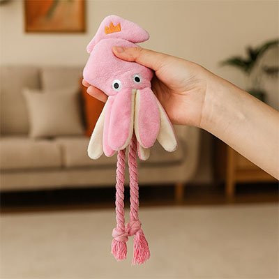 Jeux pour Chat | Interactif - Miaouland