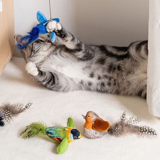 Jouet chat interactif | FélinStimul - Miaouland