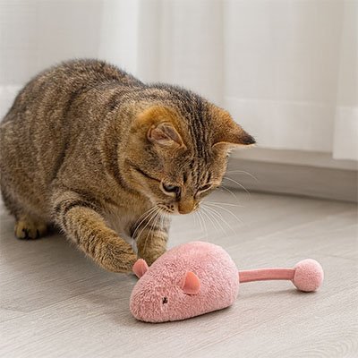 Jouet Chat interactif | Intelligence Féline - Miaouland