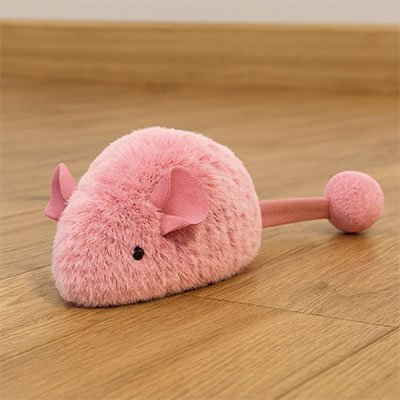 Jouet Chat interactif | Intelligence Féline - Miaouland