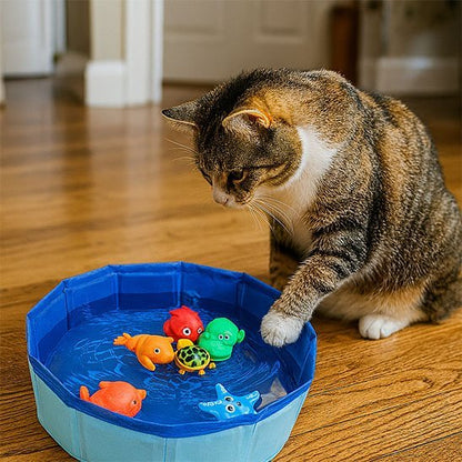 Jouet pour chat | Interactif - Miaouland