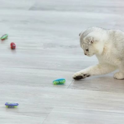 Jouet pour Chat Interactif | Féli - Plaisir - Miaouland