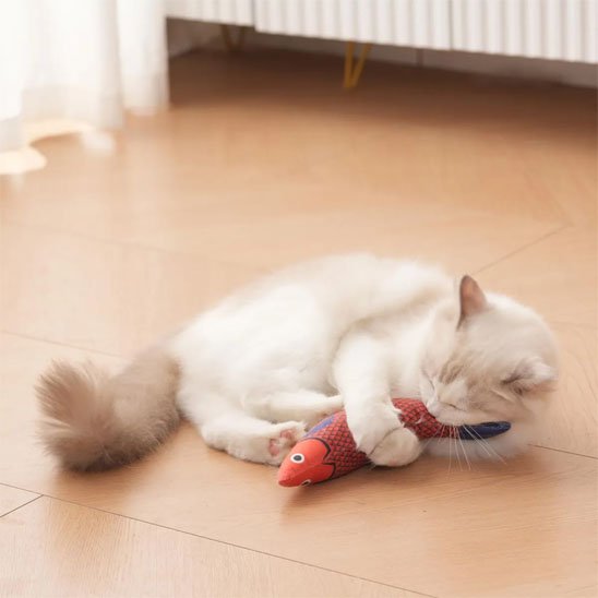 Jouet pour Chat Interactif | FéliStimul - Miaouland