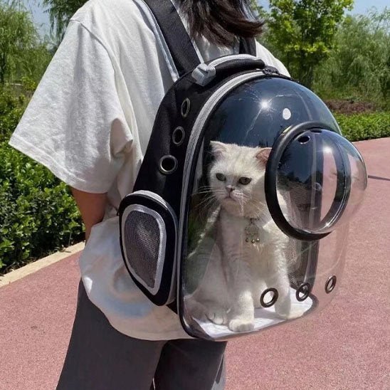 Sac de transport Chat | Confort Sécurisé - Miaouland