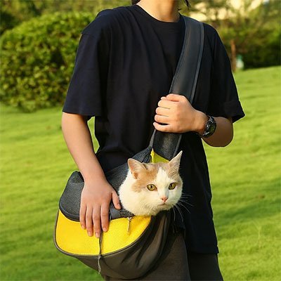 Sac de transport Chat | PawComfort - Miaouland