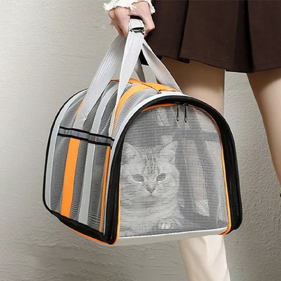 Sac de transport Chat | Voyageo - Miaouland