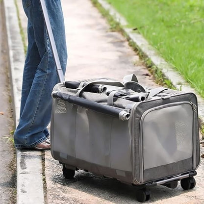 Sac transport chat | Confort Sécurisé - Miaouland