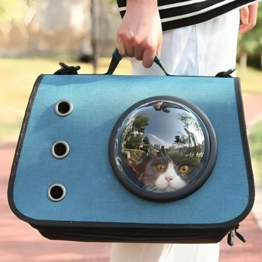 Sac transport chat | Voyageur Sécurisé - Miaouland
